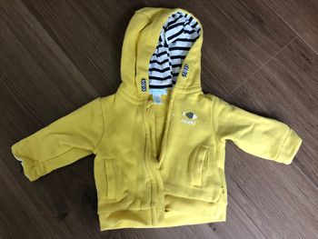 Veste