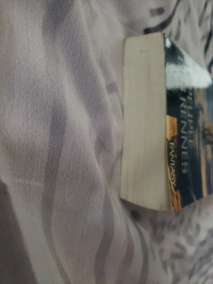 Livre Le peuple des Rennes - photo numéro 2