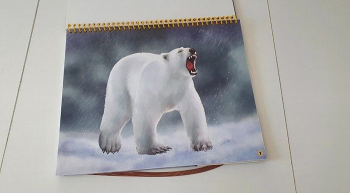 Cahier neuf de coloriage et de stickers - photo numéro 7