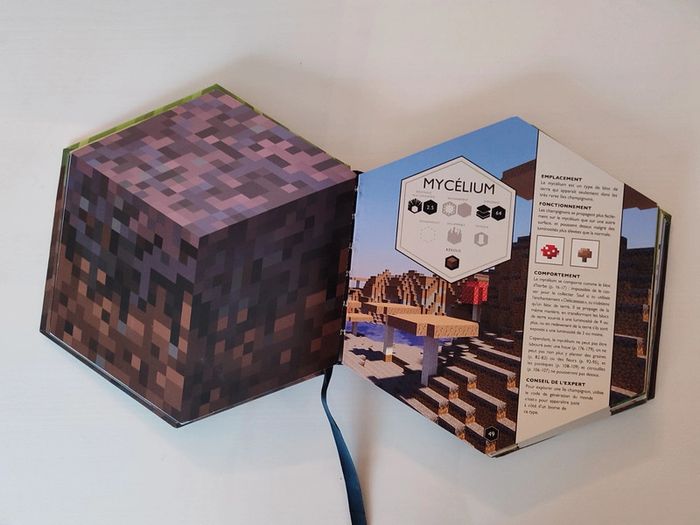 📚Livre Minecraft blockopedia - photo numéro 5