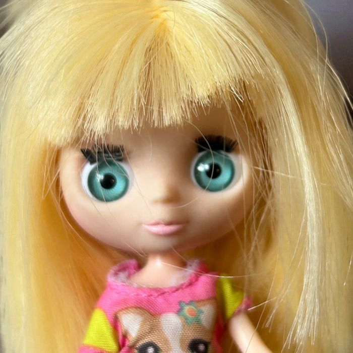 Poupée Hasbro Littlest Pet Shop Blythe, Corgi Girl, hauteur 11,5 cm. - photo numéro 2