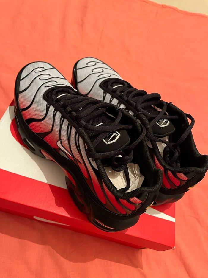 Tn neuve - photo numéro 4