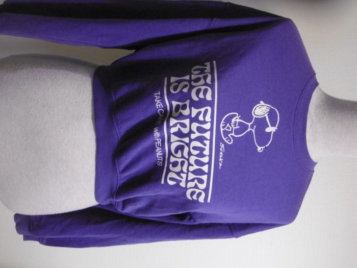 h&m sweat court peanuts couleur violet T 10 12 ans ou 34 - photo numéro 1