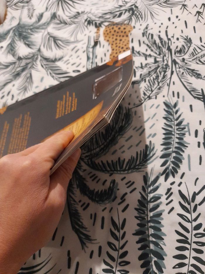 Barbe-Noire et les pirates des caraïbes - photo numéro 15