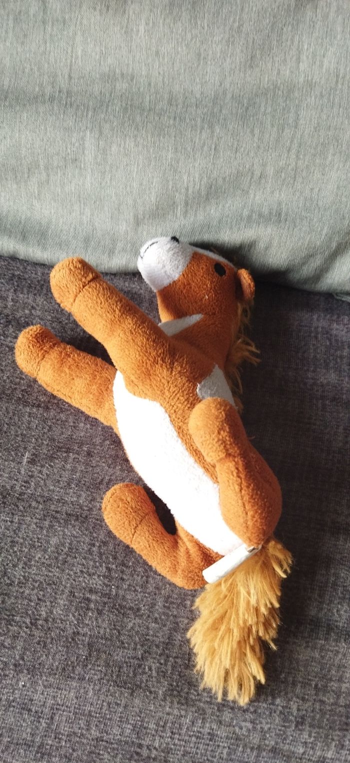 Petit cheval - photo numéro 2