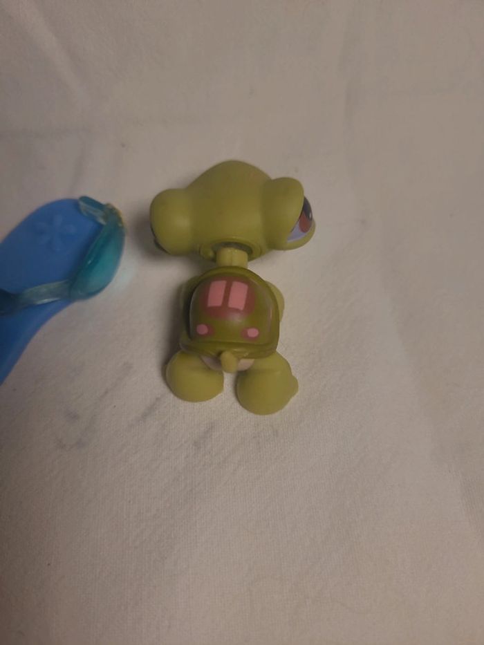 tortue petshop avec son surf - photo numéro 3