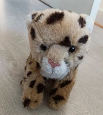 Peluche tigre