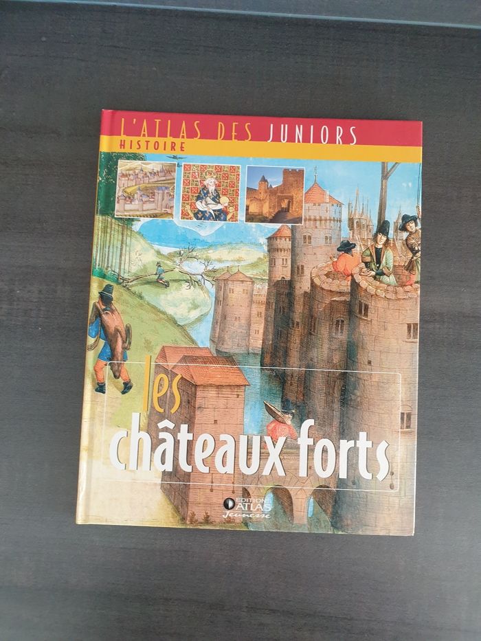 Livre les châteaux forts
