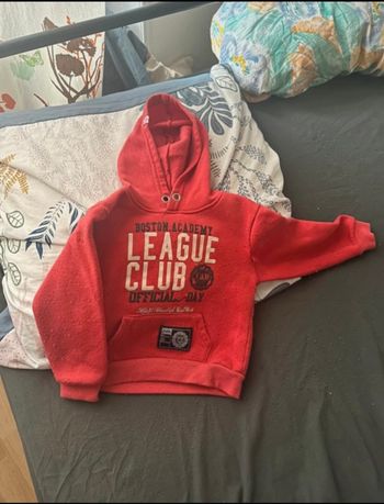 Pull garçon taille 2-3 ans🐿️