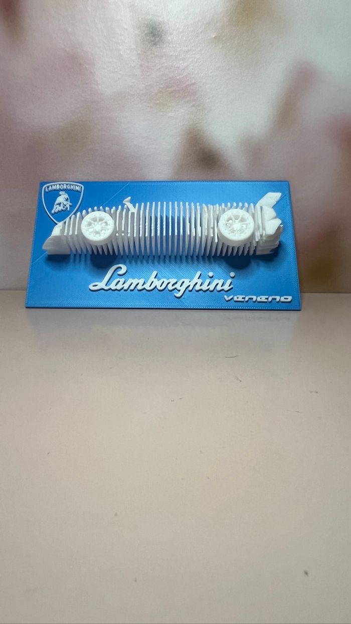 Sculpture lambighini veneno - photo numéro 3