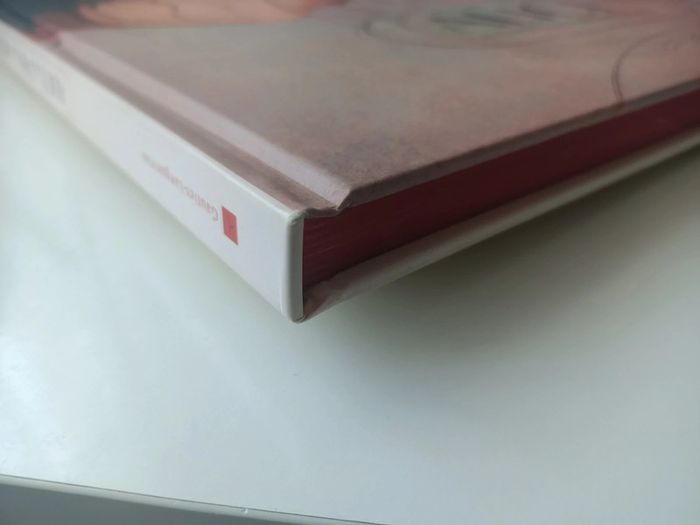 Livre Alice au pays des merveilles illustré (texte integral - éditions gautier- languereau) - photo numéro 4