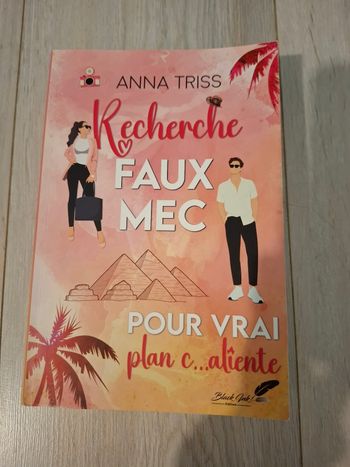 Romance d'Anna Triss, Recherche faux mec pour plan c...aliente