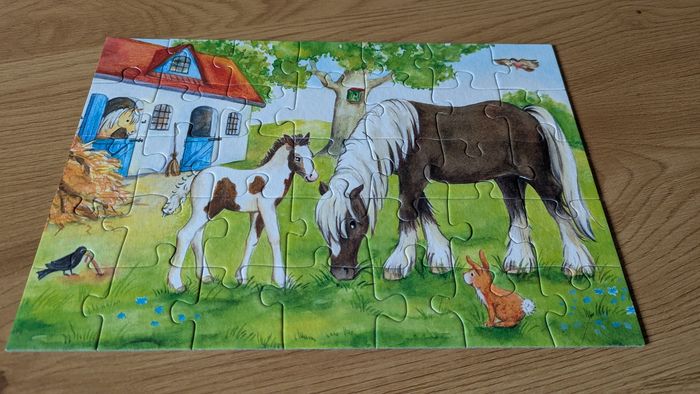 Puzzle 35 pièces - photo numéro 4