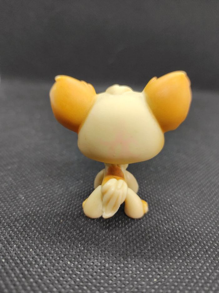 Littlest Petshop LPS dog chien papillon 96 chihuahua hasbro #geektradelpschien - photo numéro 3