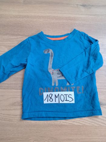 Haut longues manches dinosaure