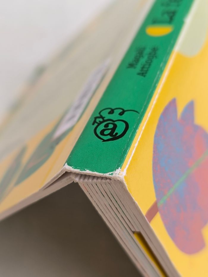 Livre La feuille Amaterra - photo numéro 8