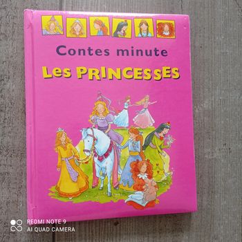 Livre Contes les princesses