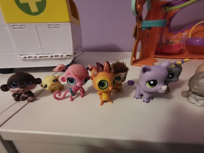 Pepshop - photo numéro 3