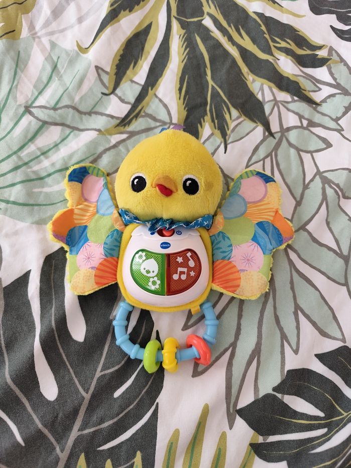 Papillon VTech