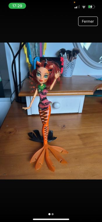 Toralei grande barrière des frayeurs