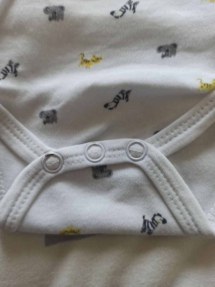 Lot de bodies - photo numéro 2