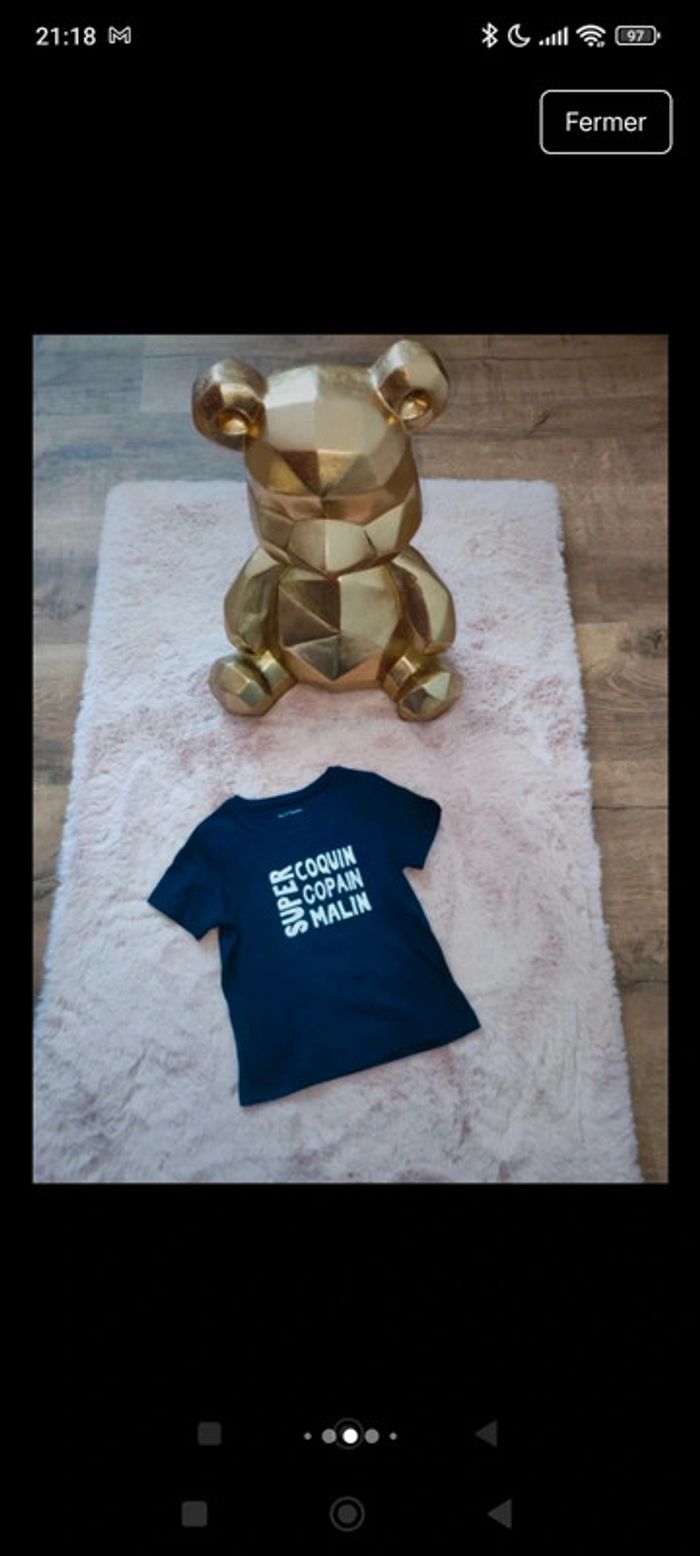 T shirt  neuf super coquin super copain super malin pat et ripaton - photo numéro 3
