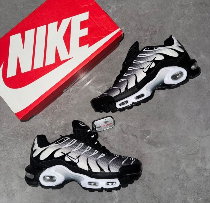 Nike TN Noir Gris Blanc 45