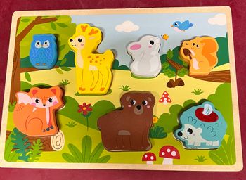 Puzzle d’encastrement