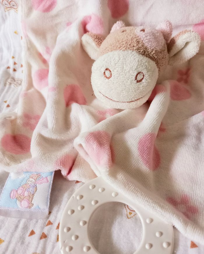 Doudou vache Noukie’s - photo numéro 2