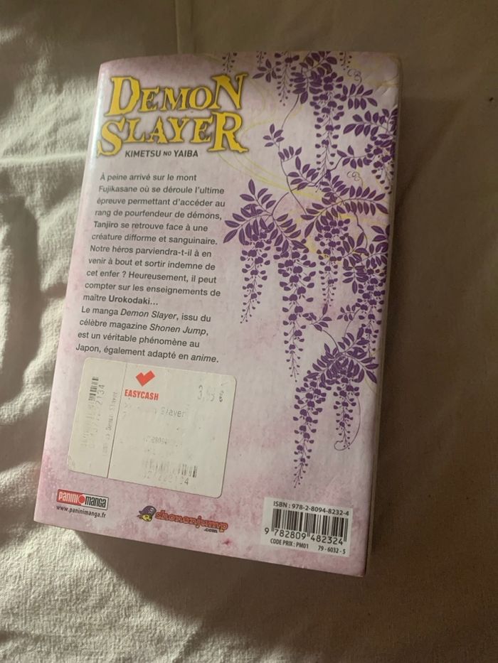 Manga - photo numéro 2