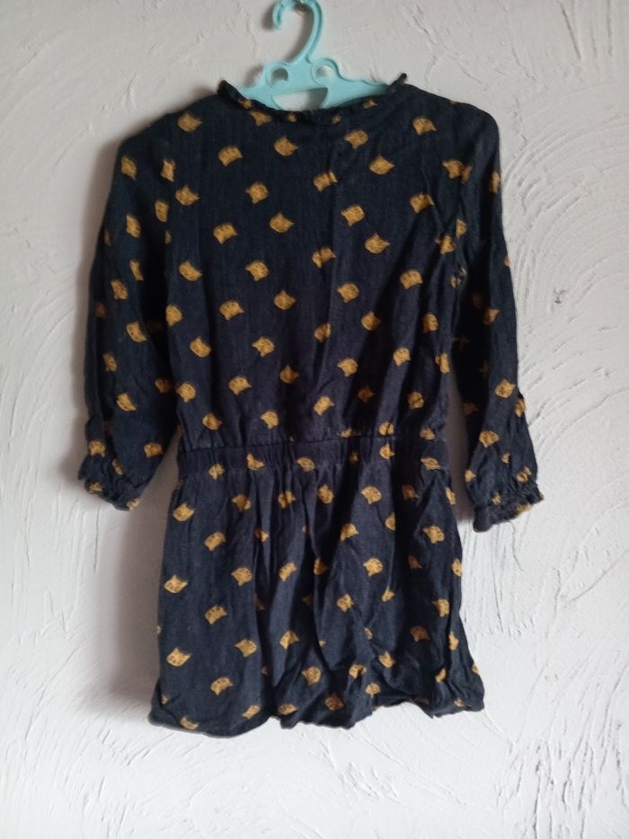 Robe chat - photo numéro 3