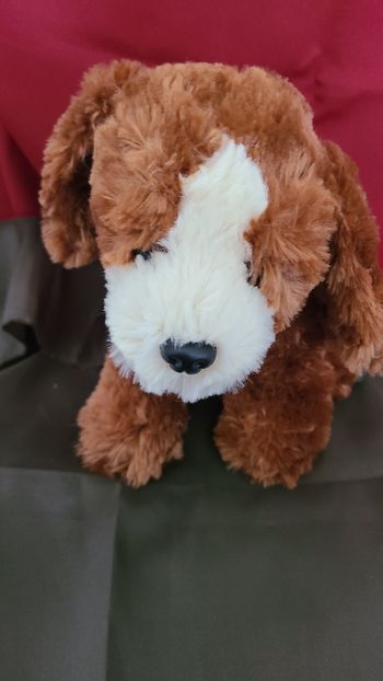 doudou chien marron blanc toy time