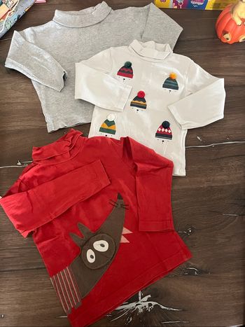 Lot 3 pulls col roulé garçon