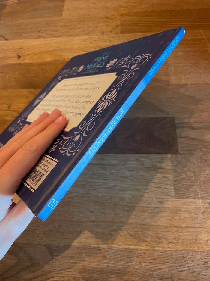 Livre La reine des neiges Magie des aurores boréales Un brave petit troll - photo numéro 3