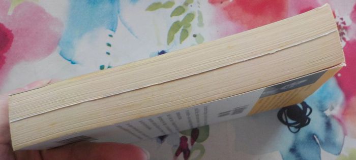 L'alliance du mal d'Alex Kava Harlequin Best Sellers n°219 - photo numéro 4