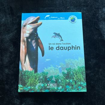 Un roi dans l’océan, le dauphin