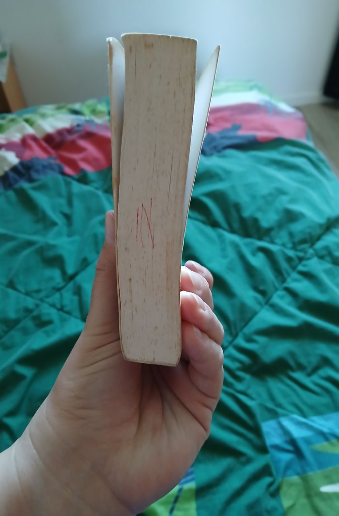 Livre "Phoneplay" de Morgane Bicail - photo numéro 6