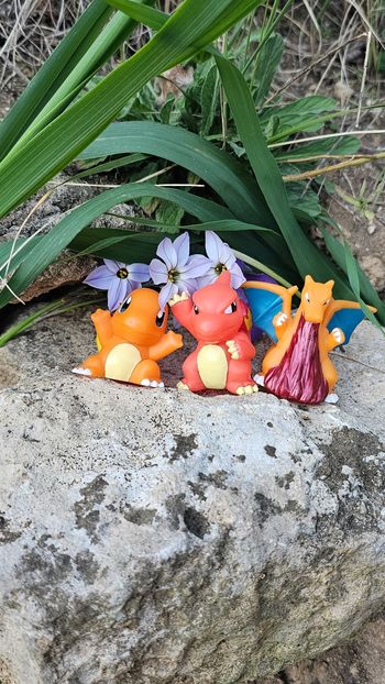 Super figurine Pokemon Nintendo finger puppet évolution Salameche reptincel Dracaufeu 