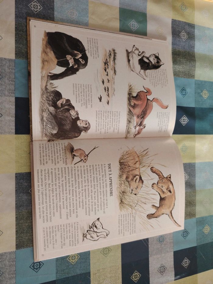 Livre sur l'éléphant - photo numéro 13