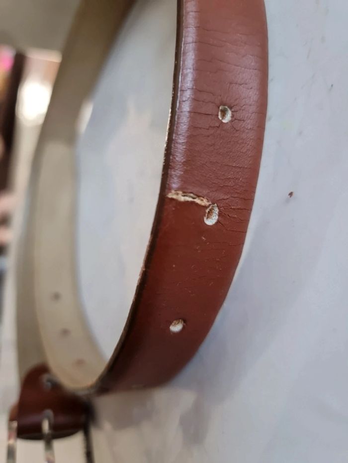 Ceinture - photo numéro 2