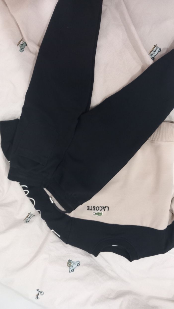 Ensemble lacoste - photo numéro 4