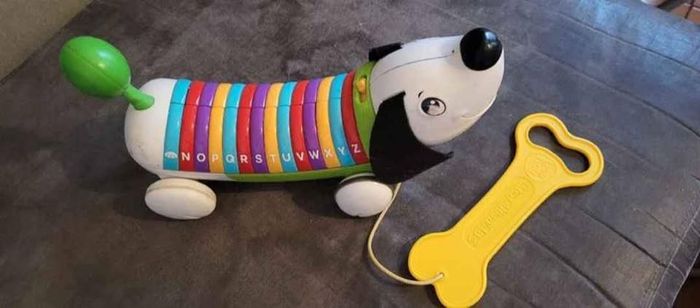 Bingo le chien - photo numéro 2
