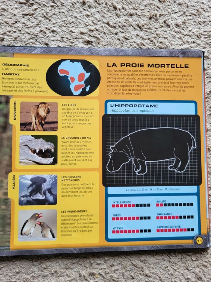 Livre documentaire enfants Zoom sur les animaux d'Afrique - photo numéro 5