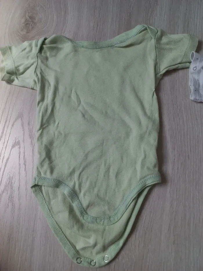 Lot de 2 bodys manches courtes 12 mois - photo numéro 3