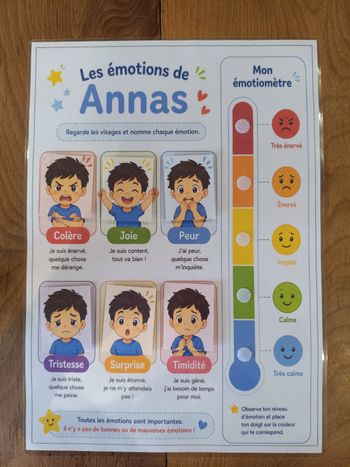 Fiche d'apprentissage émotions 