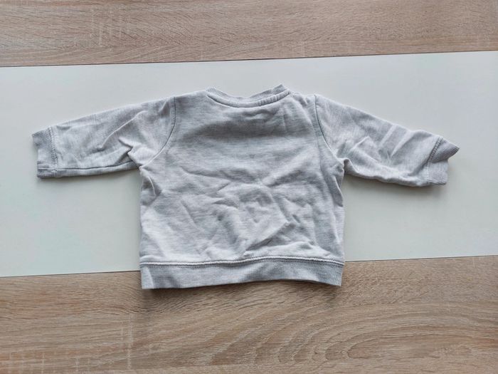 Pull Baby fox - photo numéro 4