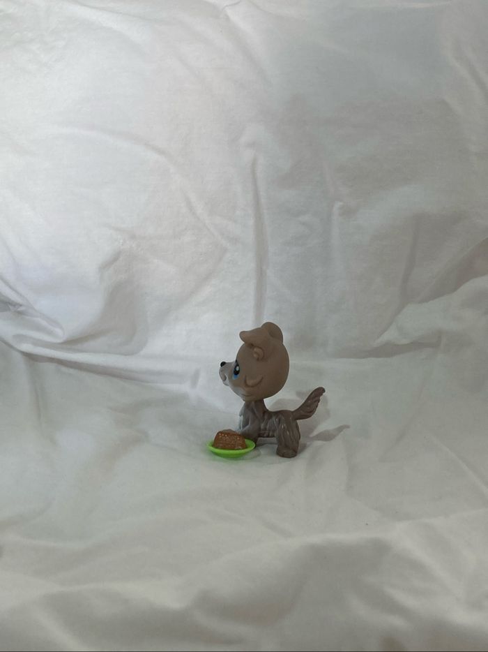 lps colley - photo numéro 4