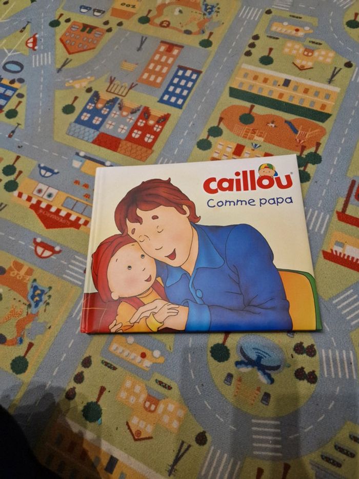 Livre caillou