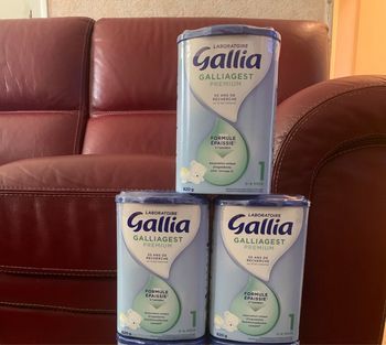 Galiagest 1er Age