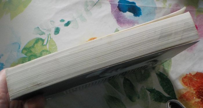 Le Concile de pierre de Jean-Christophe Grangé Ed. Albin Michel - photo numéro 5